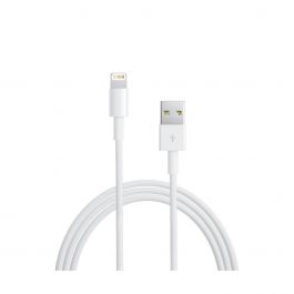 Lightning to USB Cable (0.5 m)